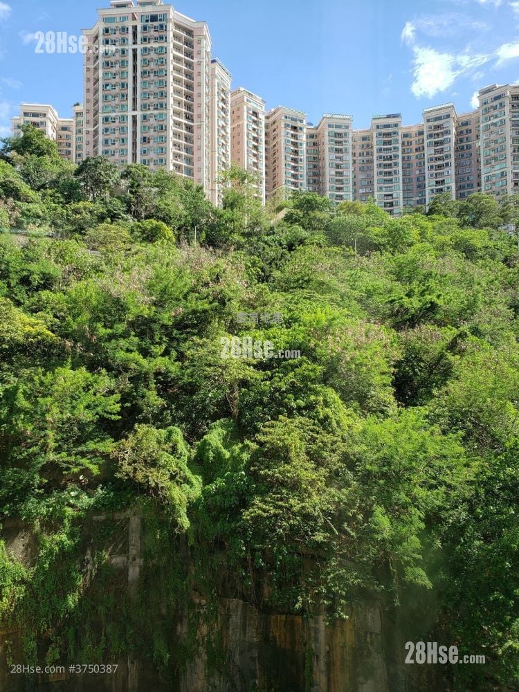 Bedford Gardens Rental 3 Bedrooms , 1 Bathroom 597 ft²