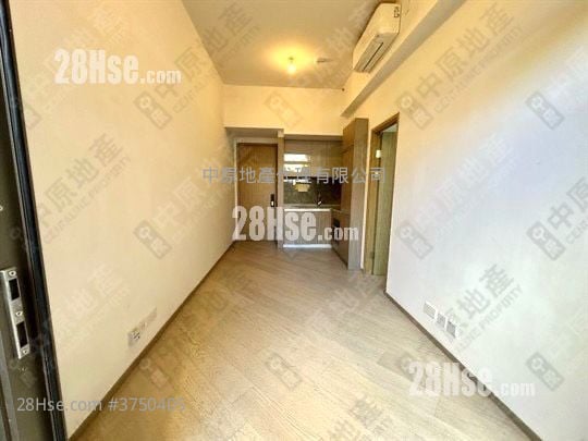 泓碧 售盘 1 房 303 平方尺