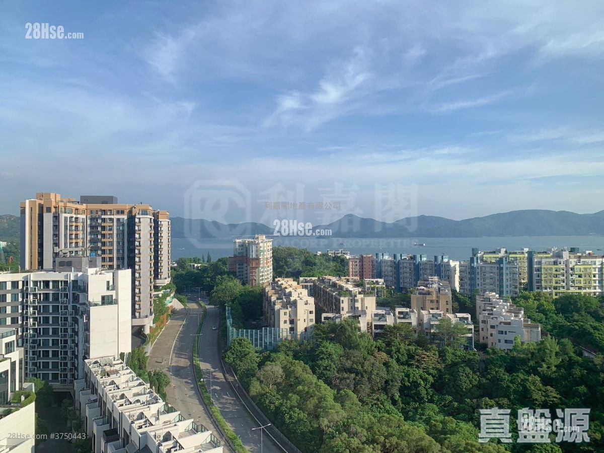 飞扬 售盘 1 房 , 1 浴室 266 平方尺