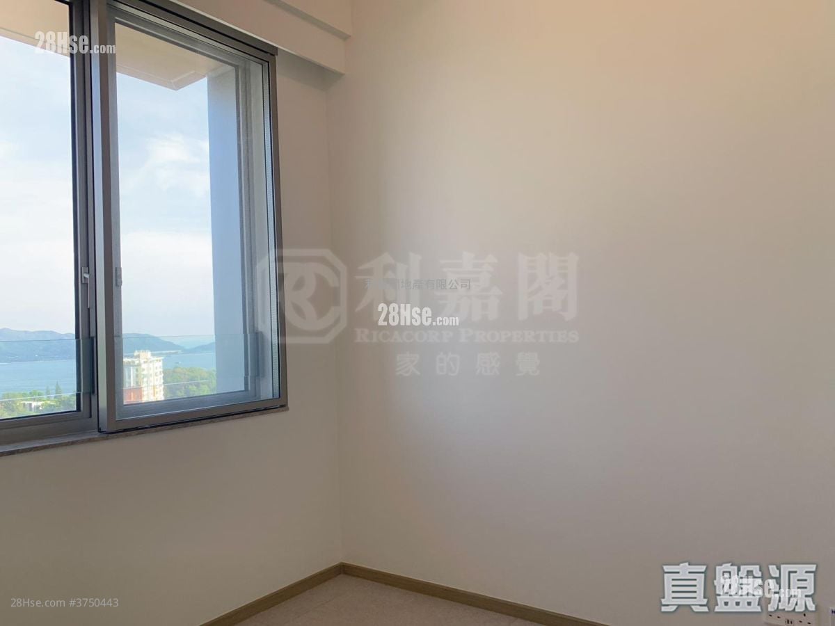 飞扬 售盘 1 房 , 1 浴室 266 平方尺