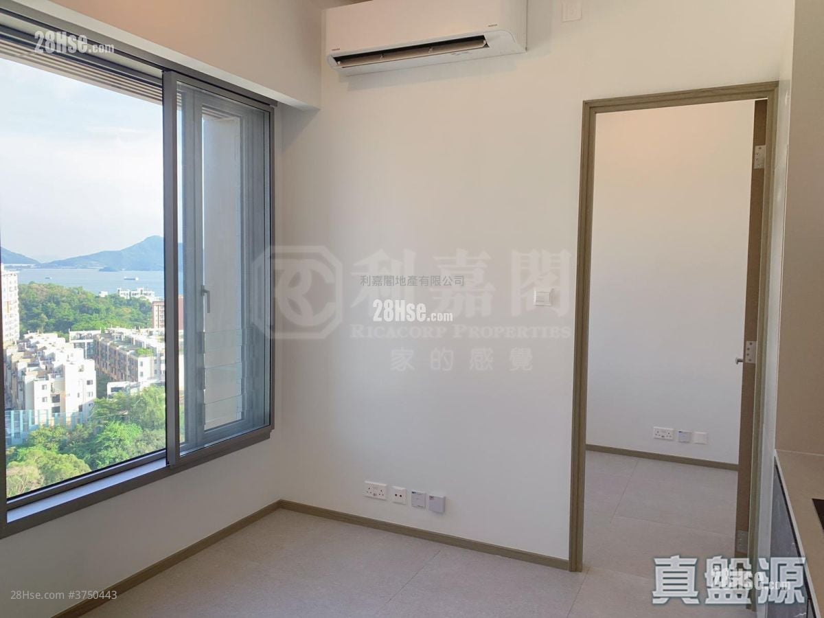 飞扬 售盘 1 房 , 1 浴室 266 平方尺