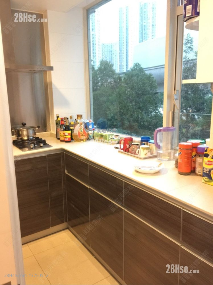 天宇海 租盤 4 房 , 3 浴室 1,433 平方呎