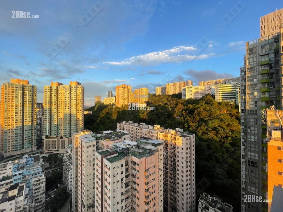 曉峯 租盤 2 房 , 2 浴室 549 平方呎