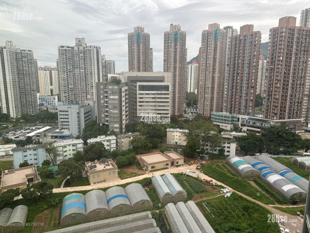 景觀: Novo Land 租盤 1 房 , 1 浴室 306 平方呎