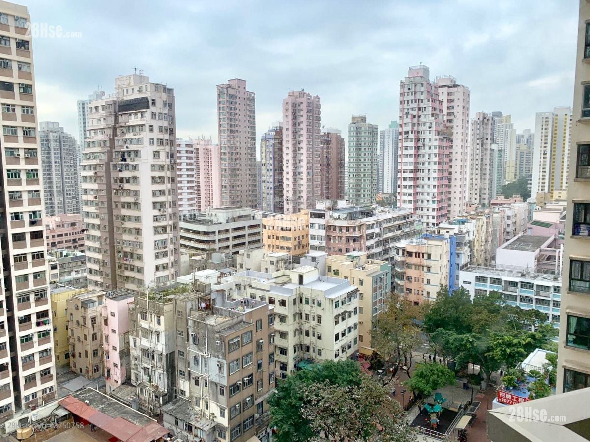 钻岭 售盘 1 房 , 1 浴室 214 平方尺