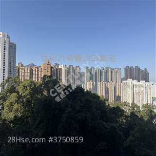 聚龍居 售盤 3 房 , 2 浴室 942 平方呎