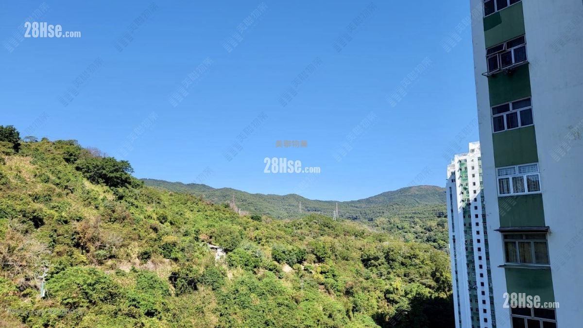 荃威花园 售盘 2 房 533 平方尺