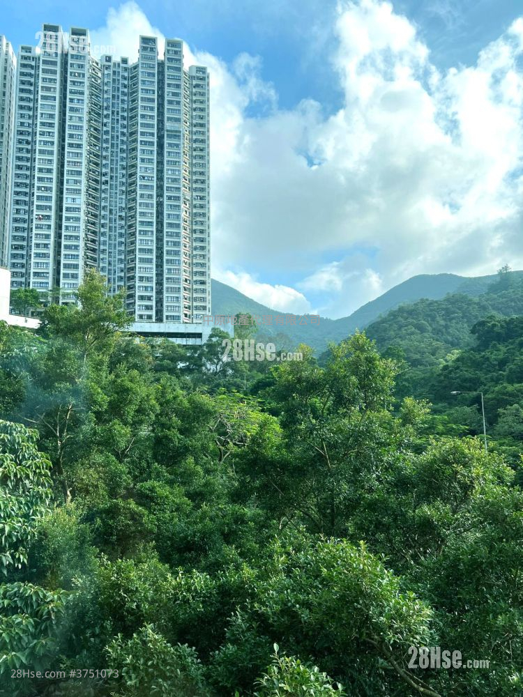 Mount Parker Lodge Sell 4 Bedrooms , 2 Bathrooms 872 ft²