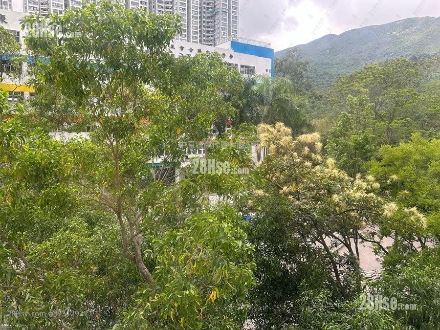 南丰新邨 售盘 3 房 , 1 浴室 516 平方尺