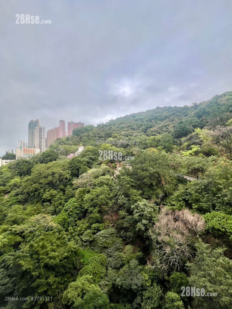 柏傲山 租盘 3 房 , 2 浴室 716 平方尺