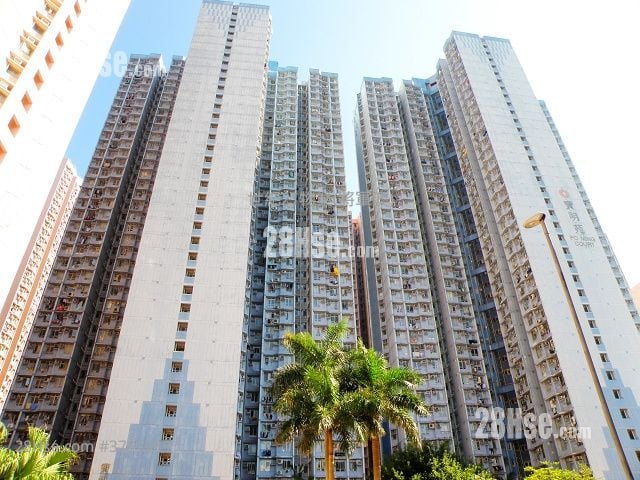 宝明苑 售盘 2 房 , 1 浴室 535 平方尺