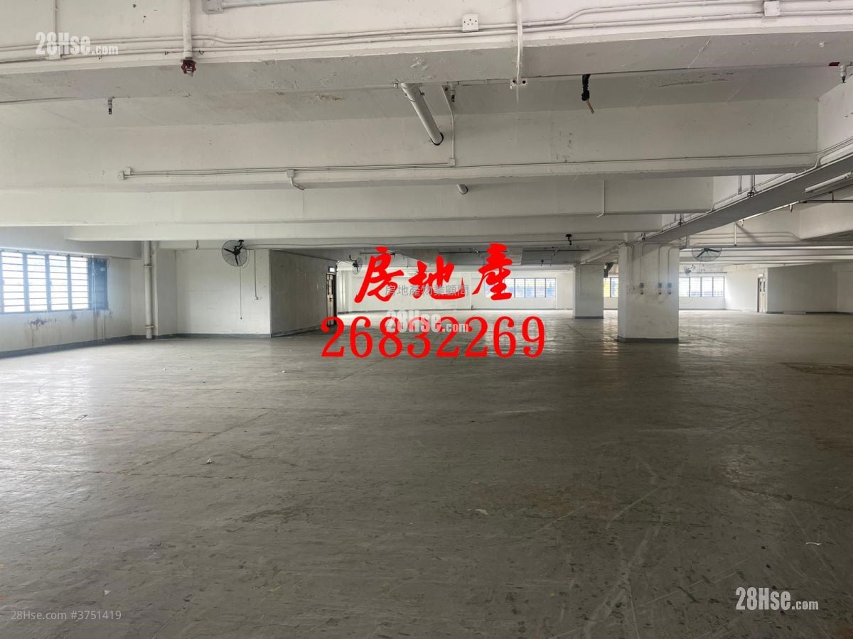 粉嶺安樂村 租盤 開放式間隔 , 2 廁所