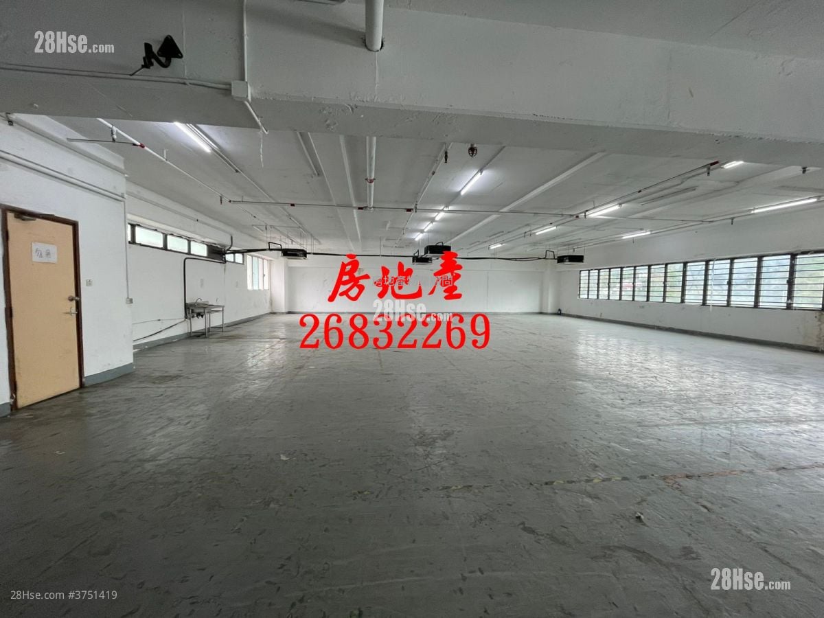 粉嶺安樂村 租盤 開放式間隔 , 2 廁所