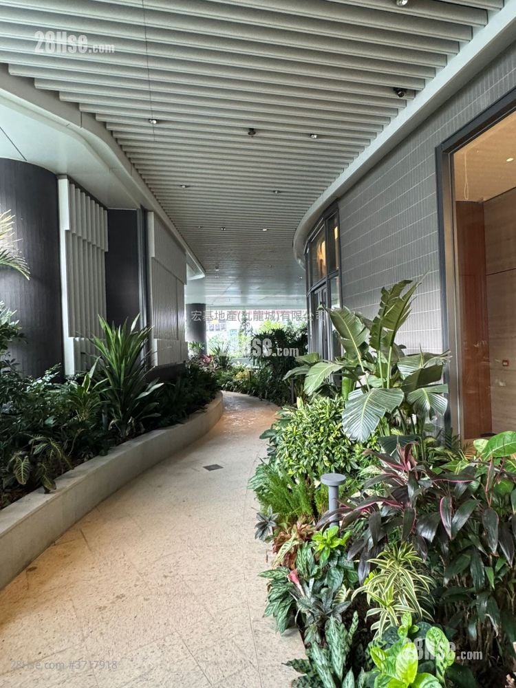 Eight Southpark Rental 1 Bedroom , 1 Bathroom 263 ft²