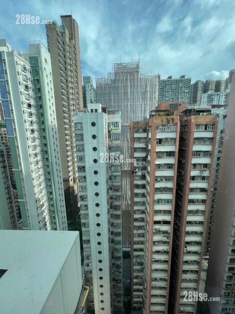 单幢楼房 售盘 1 房 290 平方尺