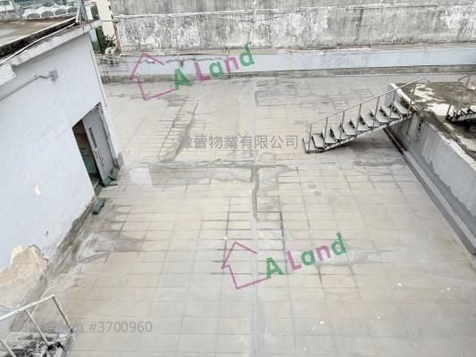 東建工業大廈 租盤