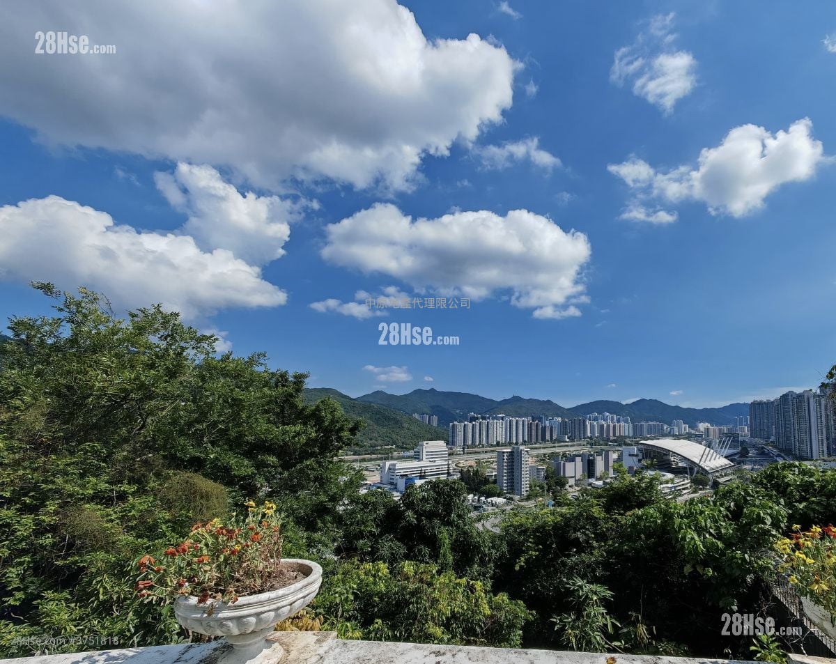 景观: 向南望马场