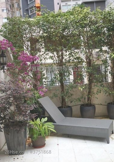 唐楼 租盘 2 房 , 1 浴室 531 平方尺