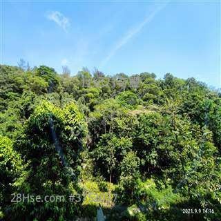 傲瀧 售盤 4 房 , 3 浴室 1,837 平方呎