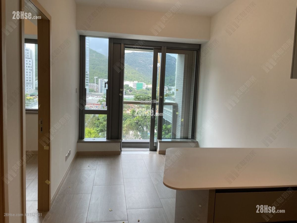 港岛南岸 售盘 1 房 341 平方尺