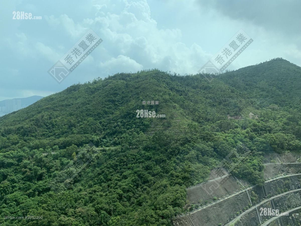 維景灣畔 售盤 2 房 , 1 浴室 499 平方呎