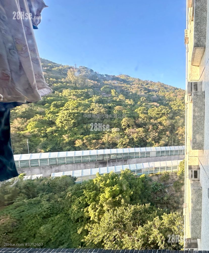 Belvedere Garden Sell 3 Bedrooms , 2 Bathrooms 668 ft²