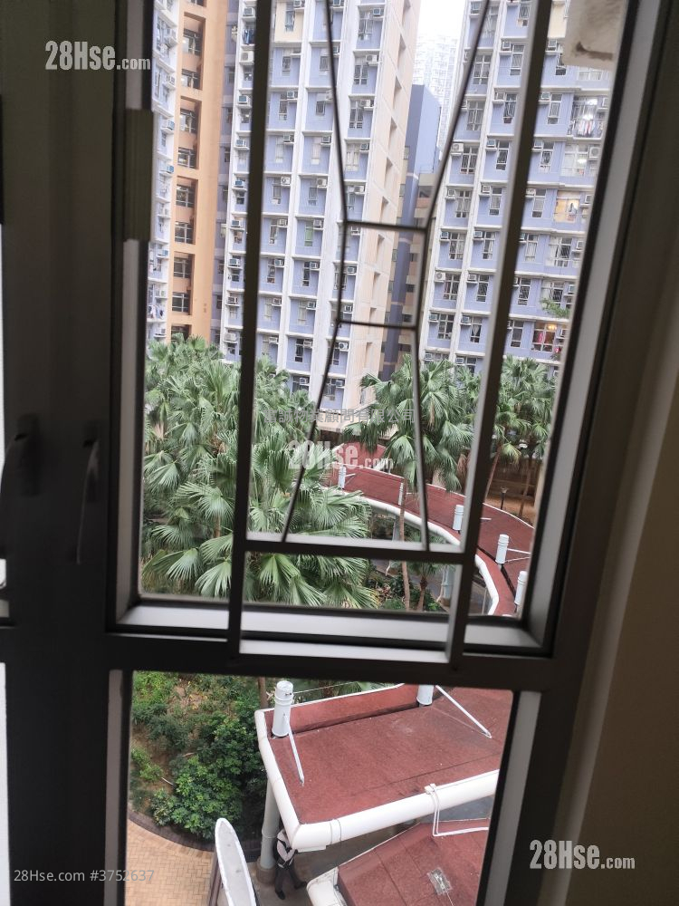 彩明苑 售盤 2 房 , 1 浴室 506 平方呎