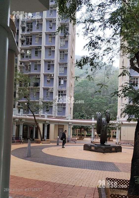 彩明苑 售盤 2 房 , 1 浴室 506 平方呎