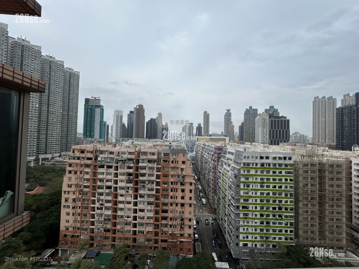 君匯港 租盤 1 房 , 1 浴室 482 平方呎