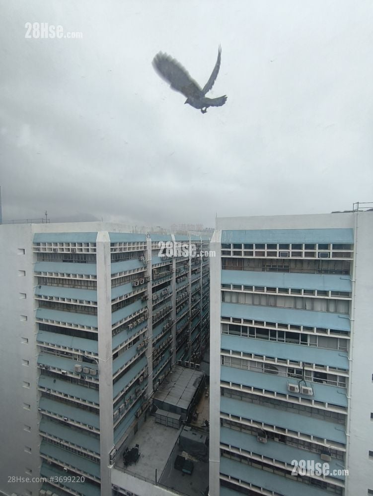 Kaiser Estate Rental