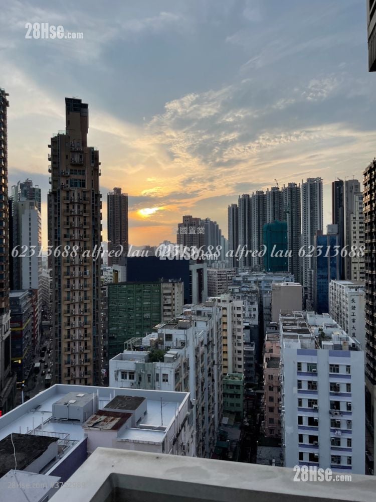 形品星寓 售盘 开放式间隔 , 1 浴室 338 平方尺