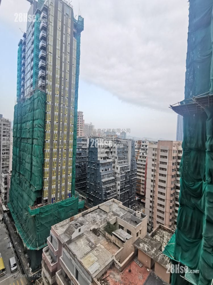 The Haddon 租盘 1 房 , 1 浴室 260 平方尺