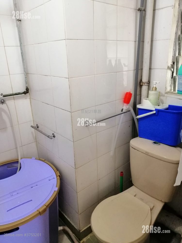 天平村 售盤 381 平方呎