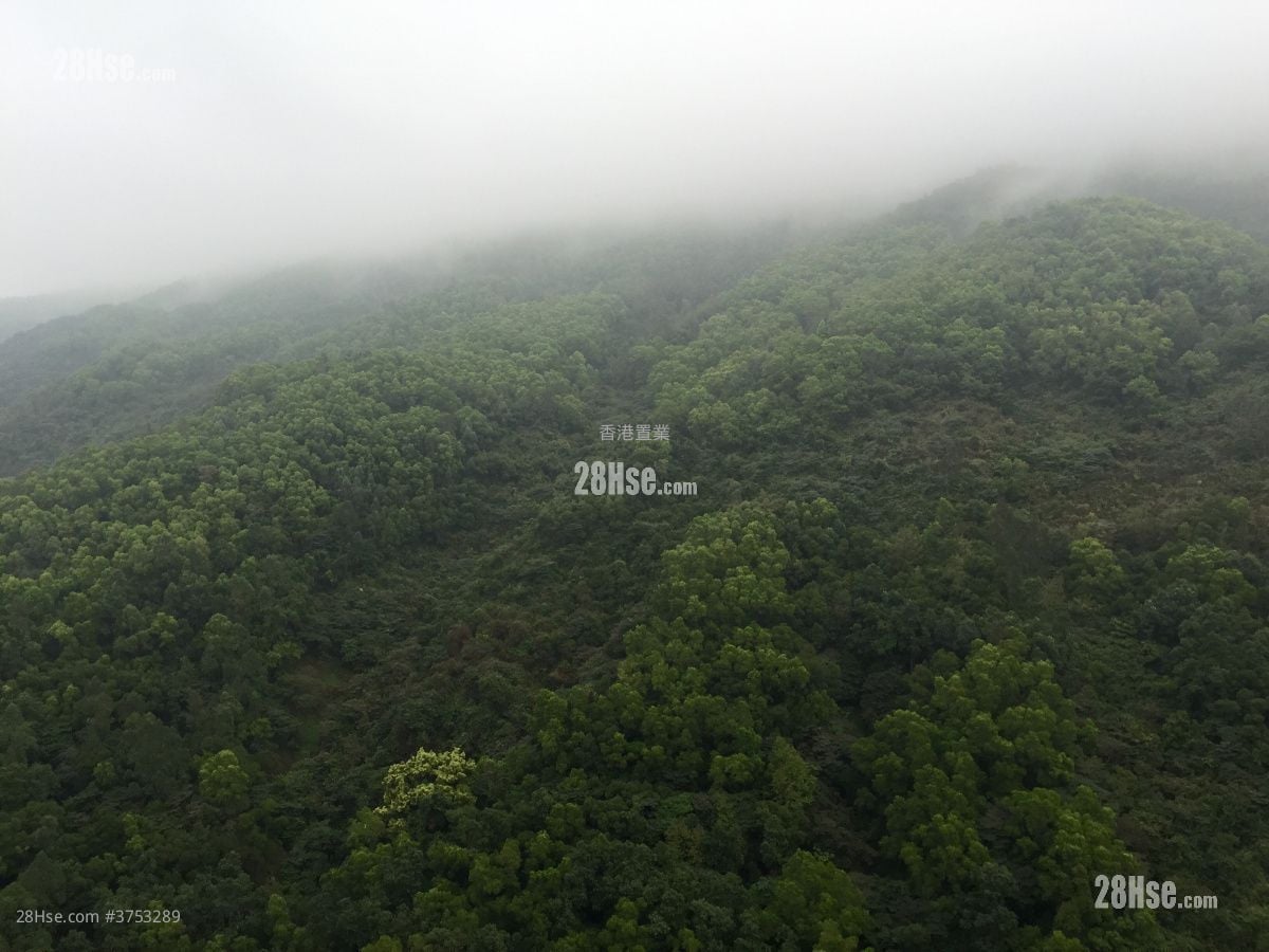 峻滢 售盘 3 房 , 2 浴室 695 平方尺