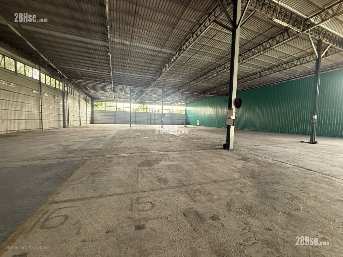 廈村 租盤 75,157 平方呎