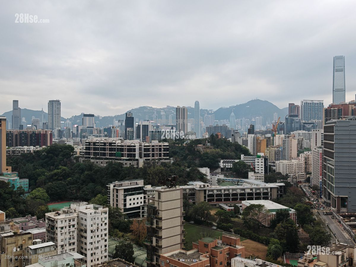 瑧樺 租盤 1 房 , 1 浴室 288 平方呎