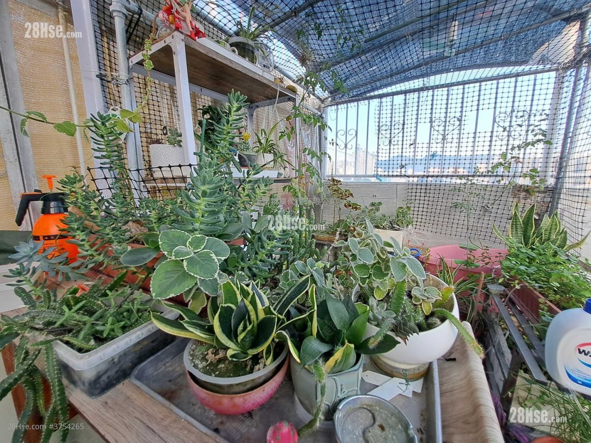 怡景園 售盤 3 房 616 平方呎