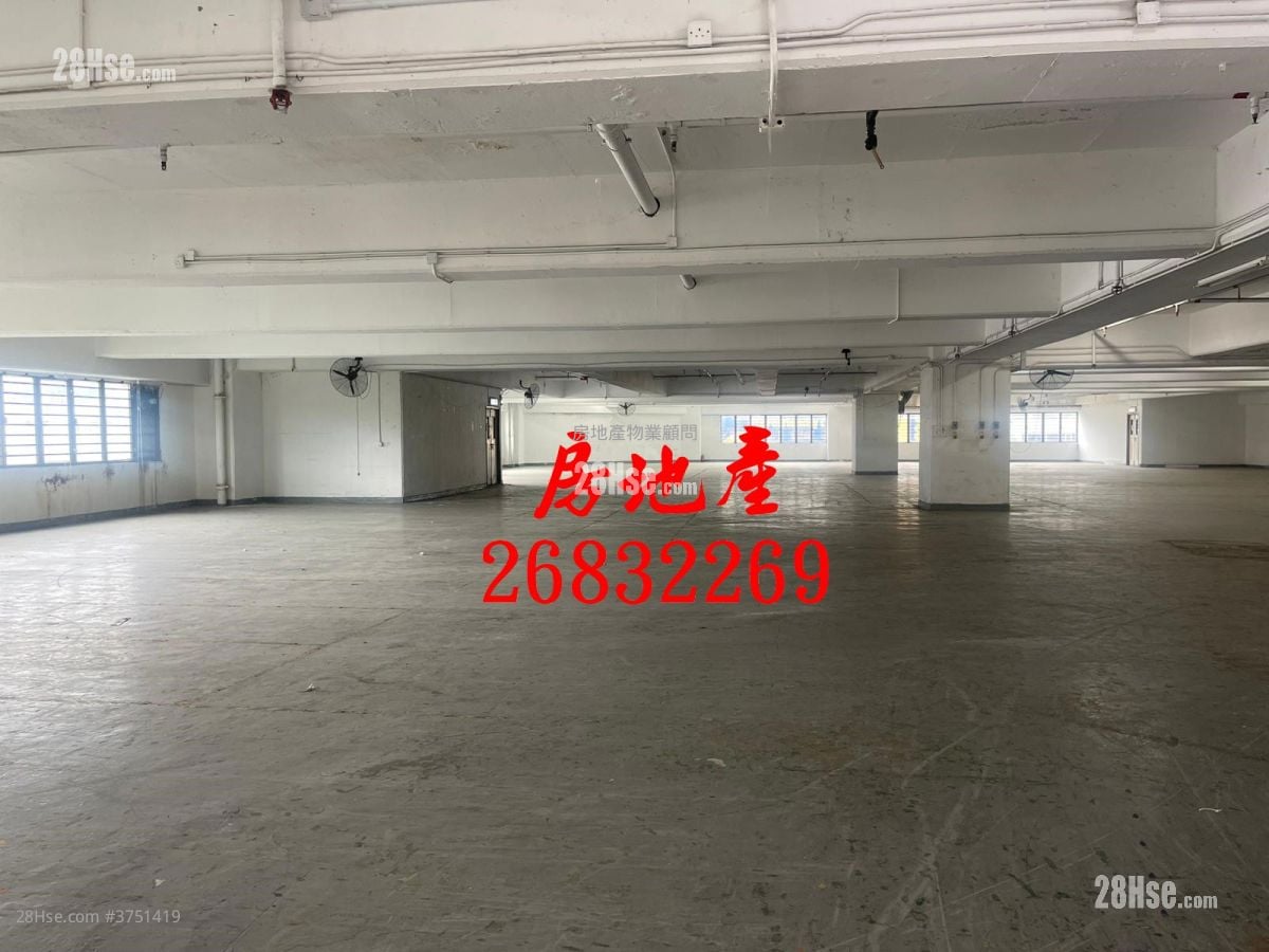 粉嶺安樂村 租盤 開放式間隔 , 2 廁所