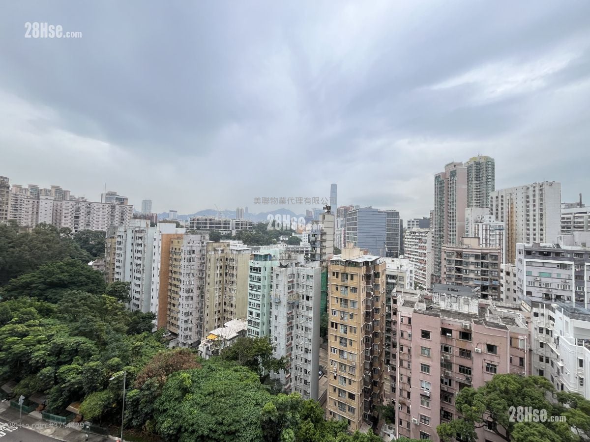 何文田山道1號 售盤 4 房 , 2 浴室 1,298 平方呎