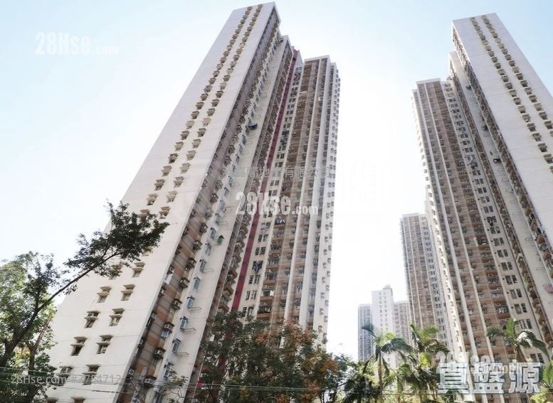 新围苑 售盘 2 房 401 平方尺