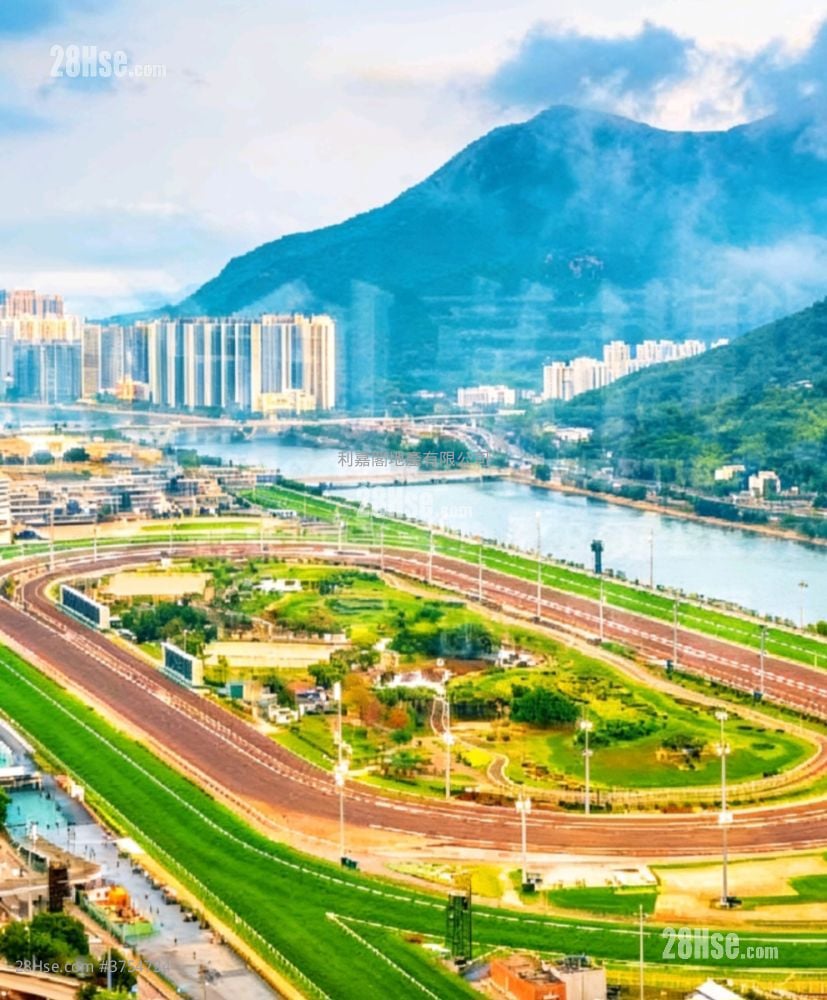 御龍山 售盤 5+ 房 , 3 浴室 1,555 平方呎