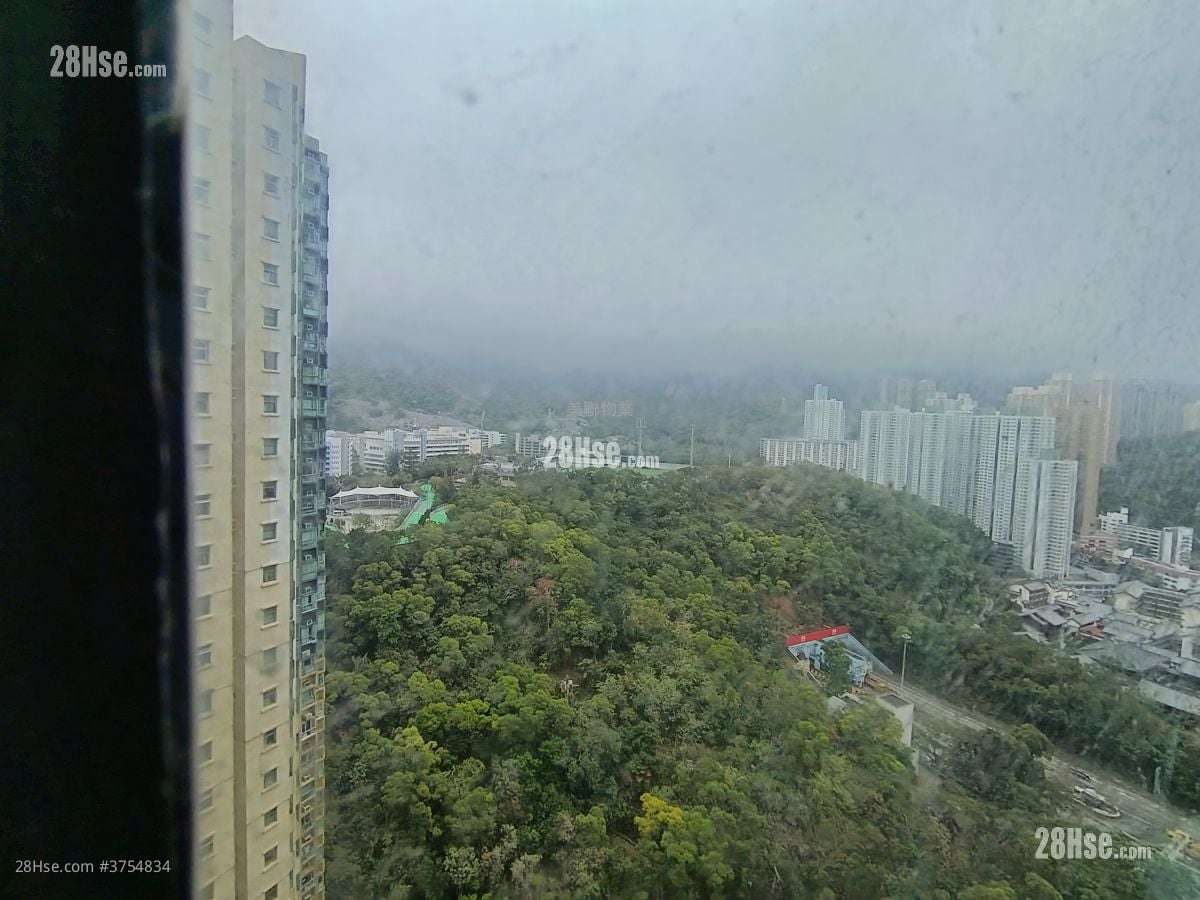 星河明居 售盤 3 房 517 平方呎