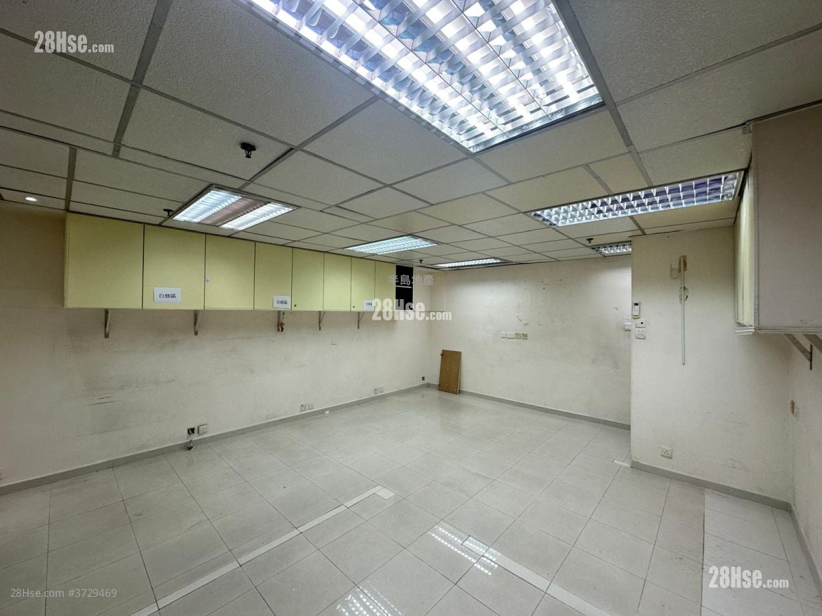 金辉行 租盘 开放式间隔