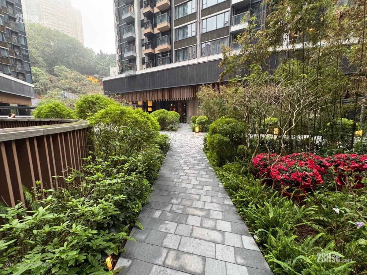 柏蔚山 租盘 1 房 , 1 浴室 570 平方尺