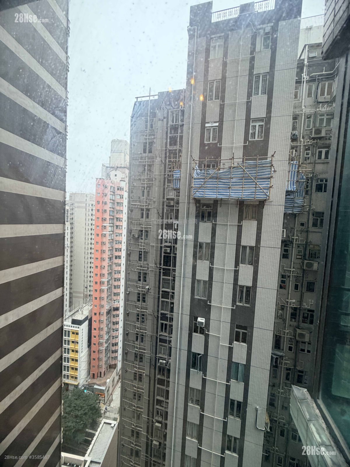 蔚晴轩 售盘 383 平方尺