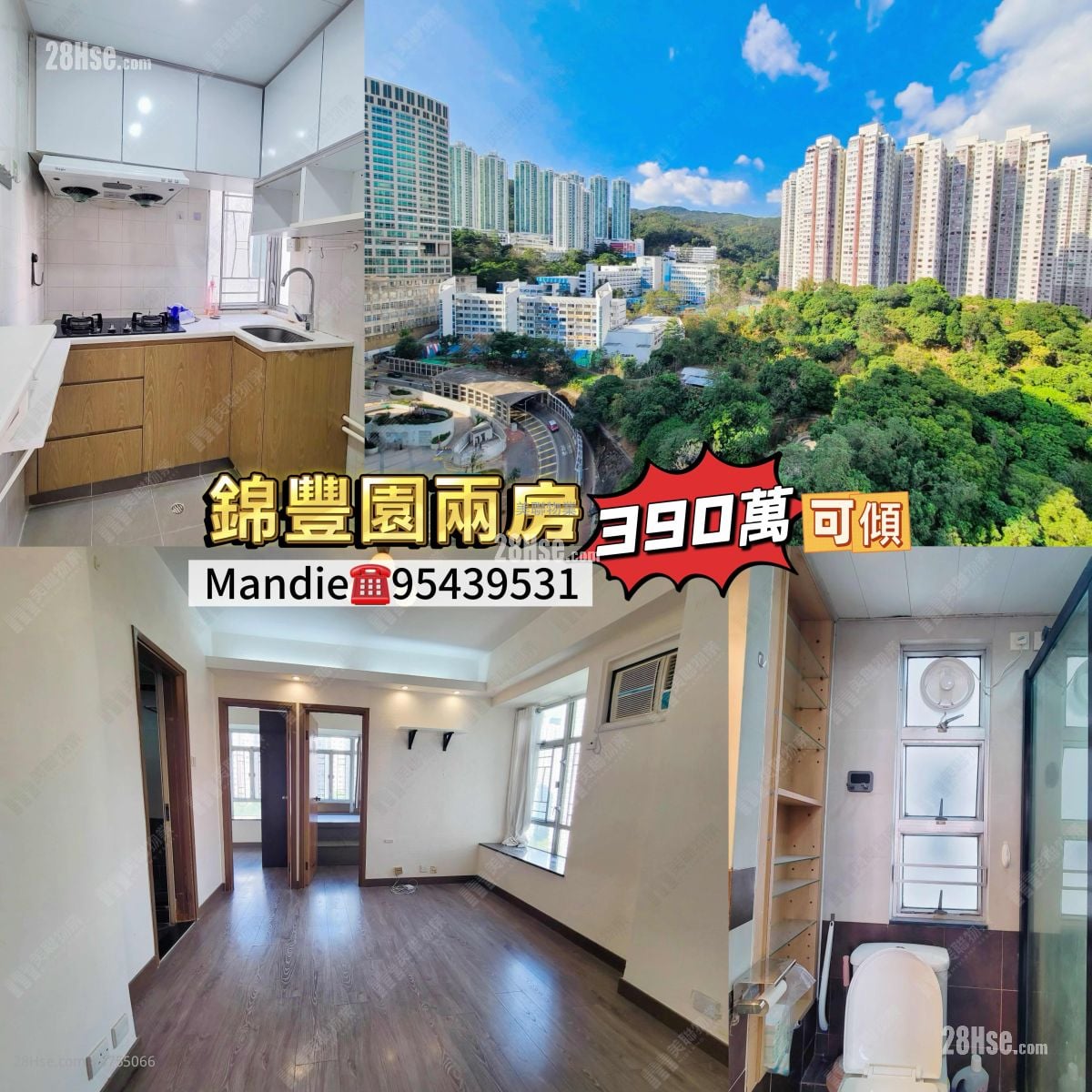 錦豐園 售盤 2 房 339 平方呎