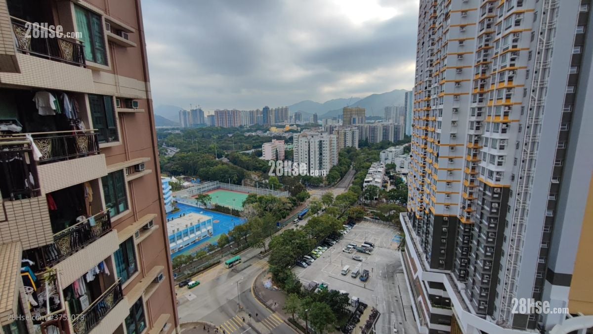 御景峰 售盘 461 平方尺