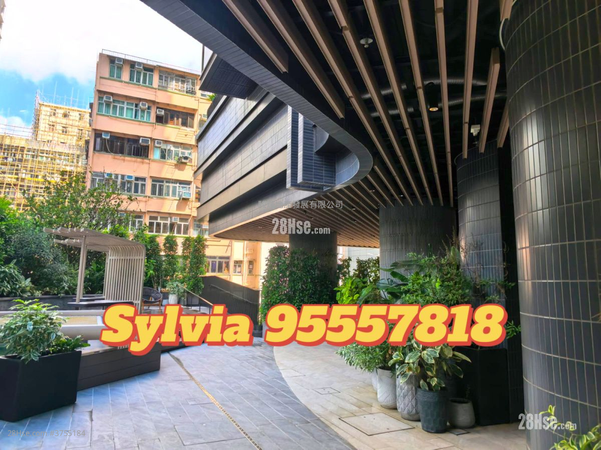 利奧坊首隅 租盤 1 房 , 1 浴室 268 平方呎