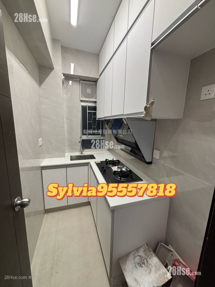 金柏閣 租盤 2 房 , 1 浴室 440 平方呎