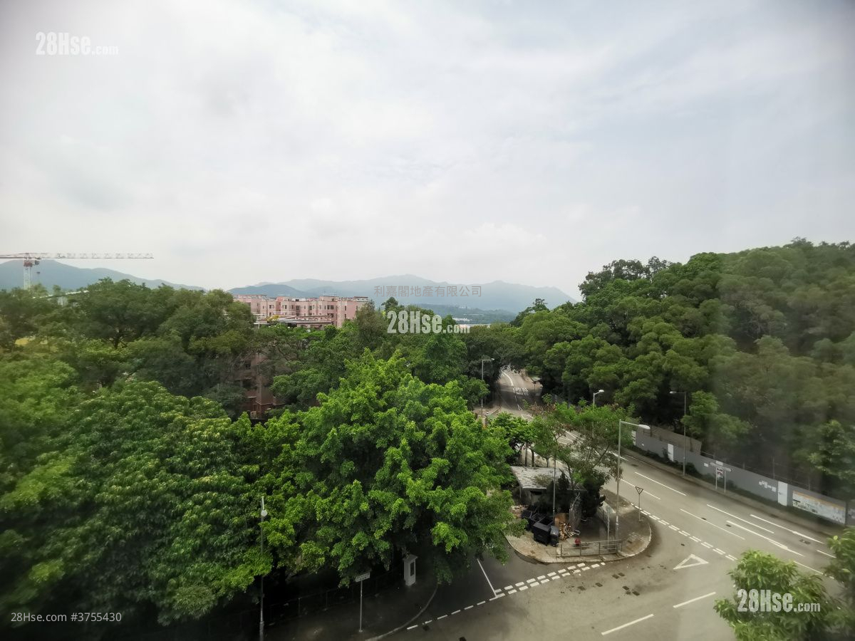 泓山 租盤 4 房 , 3 浴室 2,088 平方呎